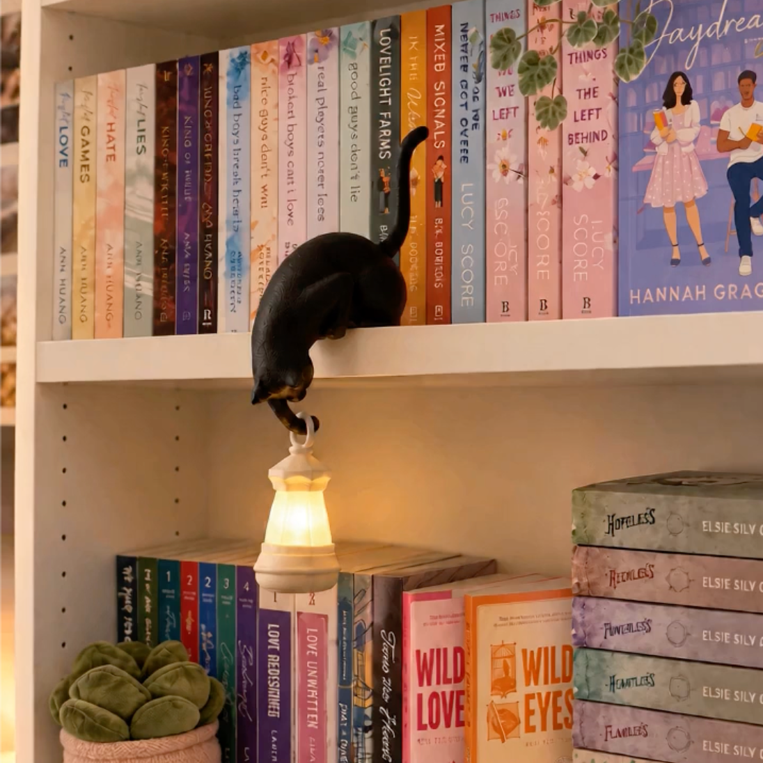Cat Lantern